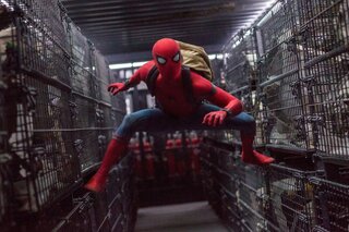 Cinema: MIS tem programação temática para fãs do Homem-Aranha neste domingo (15)