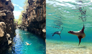 Viagens Internacionais: Conheça Galápagos, paraíso na América do Sul que não precisa de passaporte para visitar 