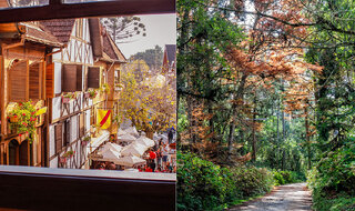 Viagens Nacionais: Conheça Amantikir, parque com jardins temáticos em Campos do Jordão