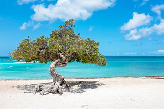 Viagens Internacionais: 10 lugares paradisíacos banhados pelo mar do Caribe que você precisa conhecer