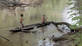 Cinema:  7ª Mostra Ecofalante de Cinema Ambiental