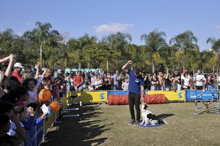 Na Cidade: Encontro de Patas no Parque Villa lobos