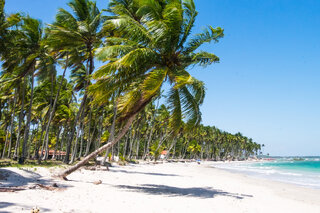 Viagens Nacionais: Réveillon 2019: 6 festas pelo Brasil para passar a virada do ano em grande estilo