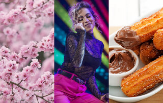 Na Cidade: Festa das cerejeiras, show da Anitta, festival do churros e mais 28 eventos imperdíveis em São Paulo neste final de semana