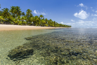 Viagens Nacionais: 10 praias paradisíacas no Brasil que mais parecem piscinas 