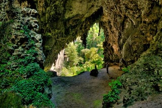 Viagens Nacionais: 8 parques estaduais em São Paulo que você precisa conhecer