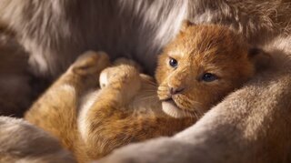 Cinema: Walt Disney Studios divulga trailer de live-action "O Rei Leão"; Veja aqui