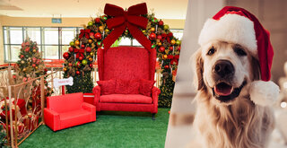 Na Cidade: Natal Pet: Shopping em SP tem trono do Papai Noel exclusivo para cães