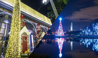 Na Cidade: Confira os melhores lugares para ver decoração de Natal em São Paulo 