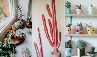 Casa e decoração: De papel de parede a cactos: 10 tendências de decoração para 2019