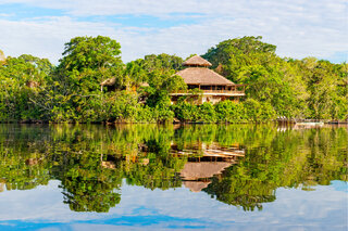 Viagens Nacionais: Muita natureza: 5 lugares imperdíveis para conhecer no Amazonas 