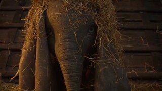 Cinema: Walt Disney divulga novo trailer do filme "Dumbo"; assista!