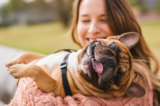 Pet: Feira de Adoção de cães no Shopping Pátio Paulista