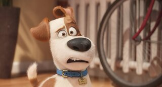 Cinema: Pets - A vida secreta dos bichos 2