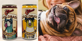 Pet: Cervejaria Colorado lança 'cerveja' para cachorro e petiscos de bagaço de malte; saiba mais!