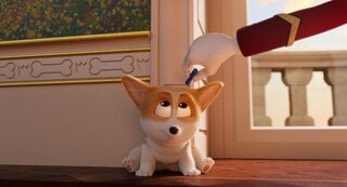 Cinema: Corgi - Top Dog