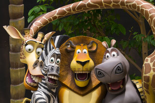 Teatro: Madagascar, Uma Aventura Musical 
