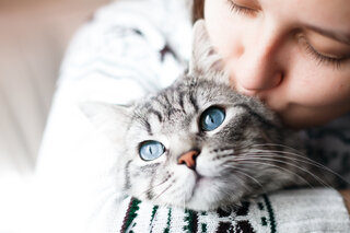 Pet: Encontro temático de gatos na Avenida Paulista