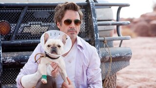 Cinema: De "Homem de Ferro" a "Dolittle", confira 17 filmes com Robert Downey Jr. para assistir pelo menos uma vez na vida 
