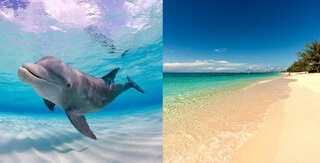 Viagens: Conheça o paradisíaco arquipélago das Ilhas Cayman, no Caribe