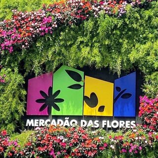 Na Cidade: Feira de Artesanato