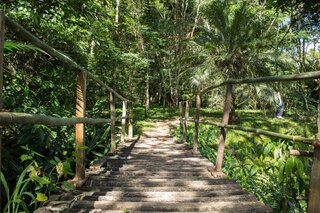 Viagens: 5 parques naturais brasileiros para visitar com as crianças durante as férias escolares