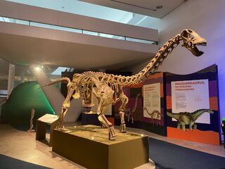 Exposição: Dinossauros: Patagotitan - O Maior do Mundo