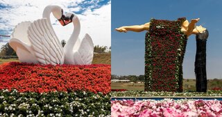 Viagens: Maior exposição da América Latina de flores e plantas ornamentais de Holambra é ótima opção de passeio em família