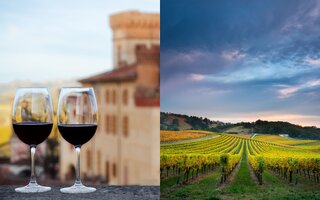 Viagens: Enoturismo: 6 vinícolas para conhecer ao redor do mundo