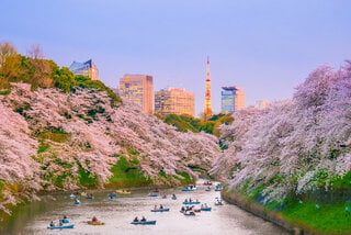 Viagens Internacionais: Ecoturismo Urbano: 13 parques e reservas naturais nas grandes metrópoles do mundo