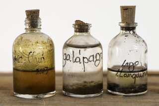 Exposição: Linha d’Água no Espaço Nexus