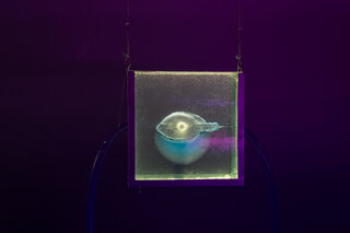 Exposição: 10 exposições imperdíveis em São Paulo para visitar em novembro de 2025