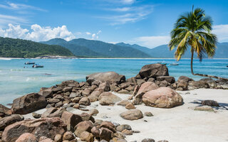 AVENTUREIRO, ILHA GRANDE (RIO DE JANEIRO)