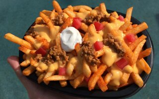 taco bell - fries.jpg