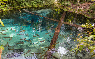 Bonito, Mato Grosso do Sul