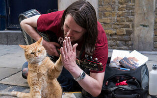 Um Gato de Rua Chamado Bob