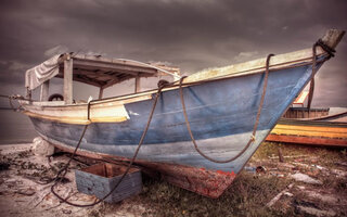 Boat / Honey Island