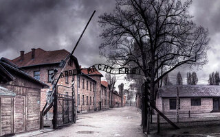 Auschwitz: The Nazis and the 'Final Solution'