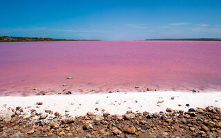 Pink Lake, Arquipélago  Recherche