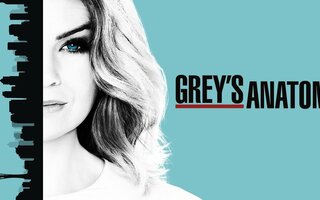 Grey's Anatomy 