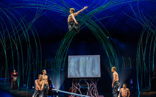Cirque du Soleil - Amaluna