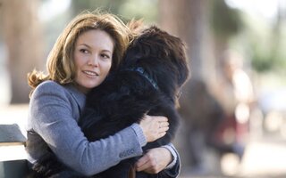 Procura-se um Amor Que Goste de Cachorros (2005)
