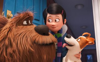 Pets: A Vida Secreta dos Bichos (2016)