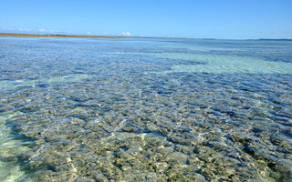 Praia de Maragogi, Maragogi (Alagoas)