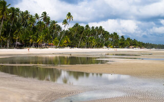 Praia dos Carneiros, Pernambuco (Pernambuco)