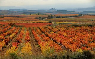 Rioja, Espanha