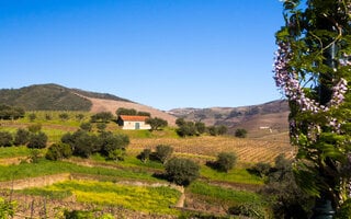 Vale do Douro, Portugal