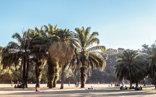 FAZER UM PIQUENIQUE NO PARQUE IBIRAPUERA