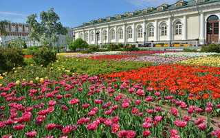 Jardim de Alexandre