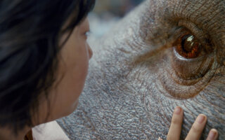 Okja